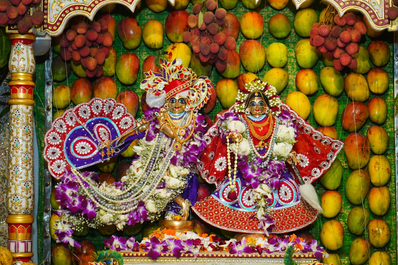 WhatsApp Image 2025-06-10 at 2.46.23 PM (1)